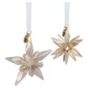 Annual Edition Festive 3D Ornament Set 2025