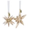 Annual Edition Festive 3D Ornament Set 2025