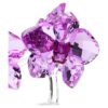 Crystal Flowers Orchid