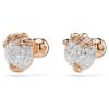 Dragon & Phoenix Stud Earrings Dragon’s Claw, White, Rose Gold-Tone Plated