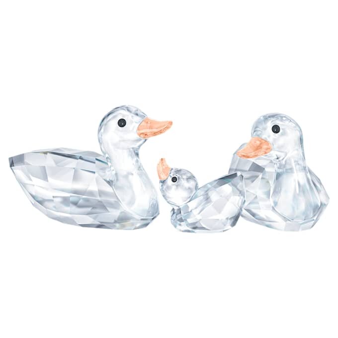 Ducks Ducks