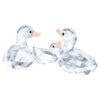 Ducks Ducks