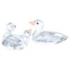 Ducks Ducks
