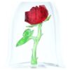 Enchanted Rose Enchanted Rose