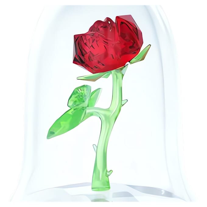 Enchanted Rose Enchanted Rose