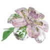 Florere Camellia