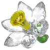 Florere Daffodil Florere Daffodil