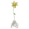 Florere Lily