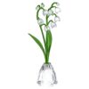 Florere Lily of the Valley