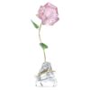 Florere Rose Florere Rose