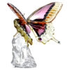 Idyllia Butterfly Idyllia Butterfly