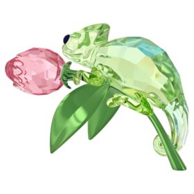 Idyllia Chameleon and Tulip