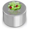 Idyllia Clover and Ladybug Decorative Box Idyllia Clover and Ladybug Decorative Box