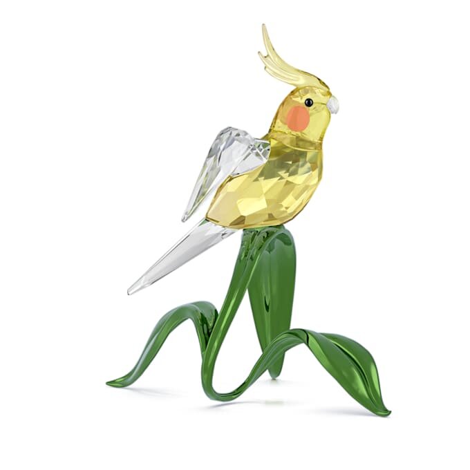 Idyllia Cockatiel Idyllia Cockatiel