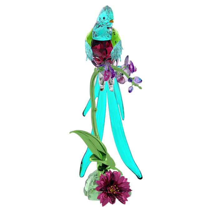 Idyllia Quetzal and Orchid Idyllia Quetzal and Orchid