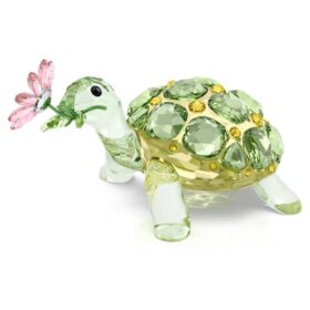 Idyllia Tortoise and Daisy