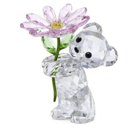 Kris Bear a Daisy for You