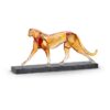 Limited Edition the Cheetah Limited Edition the Cheetah