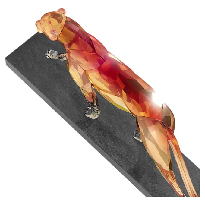 Limited Edition the Cheetah Limited Edition the Cheetah