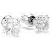 Stilla Stud Earrings Round Cut, White, Rhodium Plated Stilla Stud Earrings Round Cut, White, Rhodium Plated