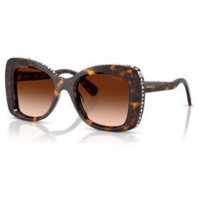 Sunglasses Butterfly Shape, Sk6062U, Brown