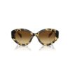 Sunglasses Cat-Eye Shape, Sk6008, Brown