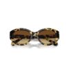 Sunglasses Cat-Eye Shape, Sk6008, Brown