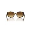 Sunglasses Cat-Eye Shape, Sk6008, Brown
