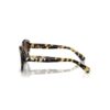 Sunglasses Cat-Eye Shape, Sk6008, Brown