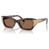 Sunglasses Cat-Eye Shape, Sk6029, Brown