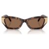 Sunglasses Cat-Eye Shape, Sk6029, Brown