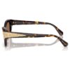 Sunglasses Cat-Eye Shape, Sk6029, Brown