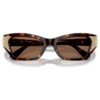 Sunglasses Cat-Eye Shape, Sk6029, Brown