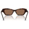 Sunglasses Cat-Eye Shape, Sk6029, Brown