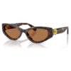 Sunglasses Cat-Eye Shape, Sk6045, Brown