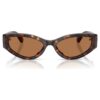 Sunglasses Cat-Eye Shape, Sk6045, Brown