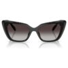 Sunglasses Cat-Eye Shape, Sk6047, Black