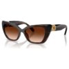 Sunglasses Cat-Eye Shape, Sk6047, Dark Brown