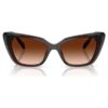 Sunglasses Cat-Eye Shape, Sk6047, Dark Brown