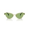 Sunglasses Cat-Eye Shape, Sk7003, Green