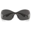 Sunglasses Mask, Swan, Sk7020, Gray