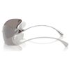 Sunglasses Mask, Swan, Sk7020, Silver Tone