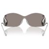 Sunglasses Mask, Swan, Sk7020, Silver Tone