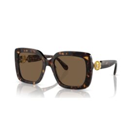 Sunglasses Oversized, Square Shape, Sk6001, Brown