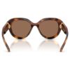 Sunglasses Round Shape, Brown Sunglasses Round Shape, Brown