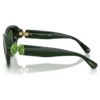 Sunglasses Round Shape, Green Sunglasses Round Shape, Green
