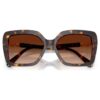 Sunglasses Square Shape, Sk6049, Brown Sunglasses Square Shape, Sk6049, Brown